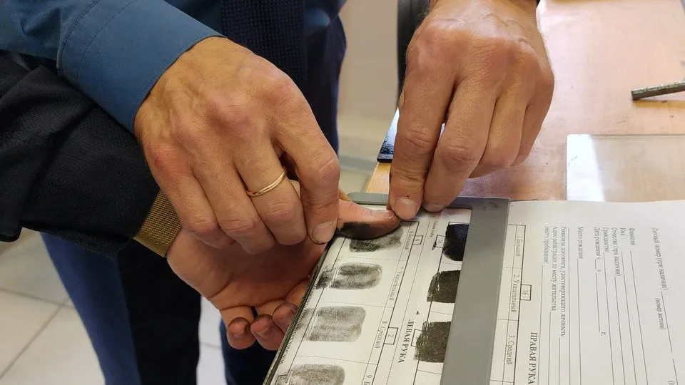 Фото: медиасток.рф