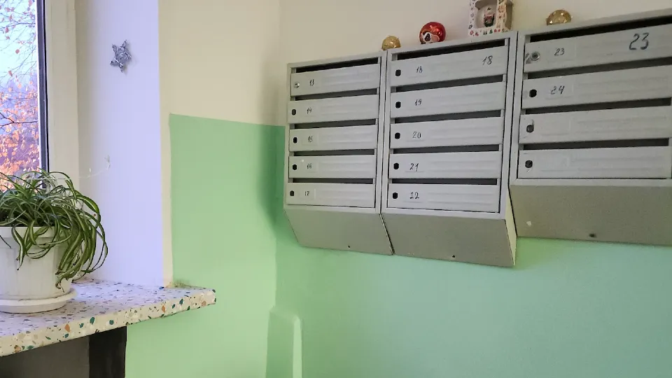 Фото: МедиаБанк Подмосковья/Ирина Моисеева