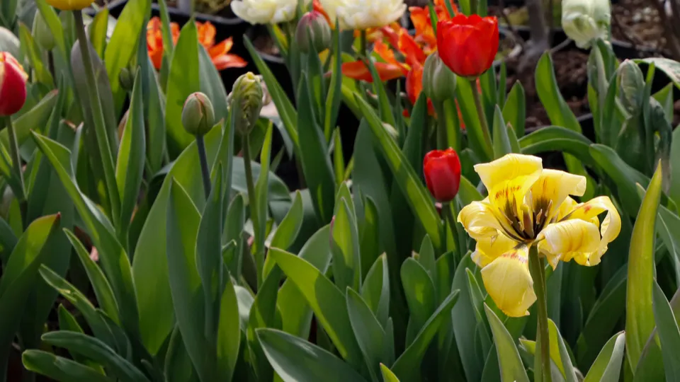 Фото: REGIONS/Наталия Надточая