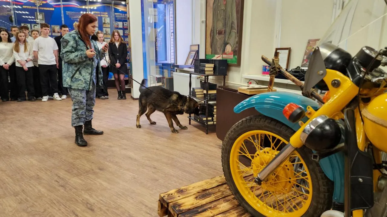 REGIONS/Мария Андрюхина