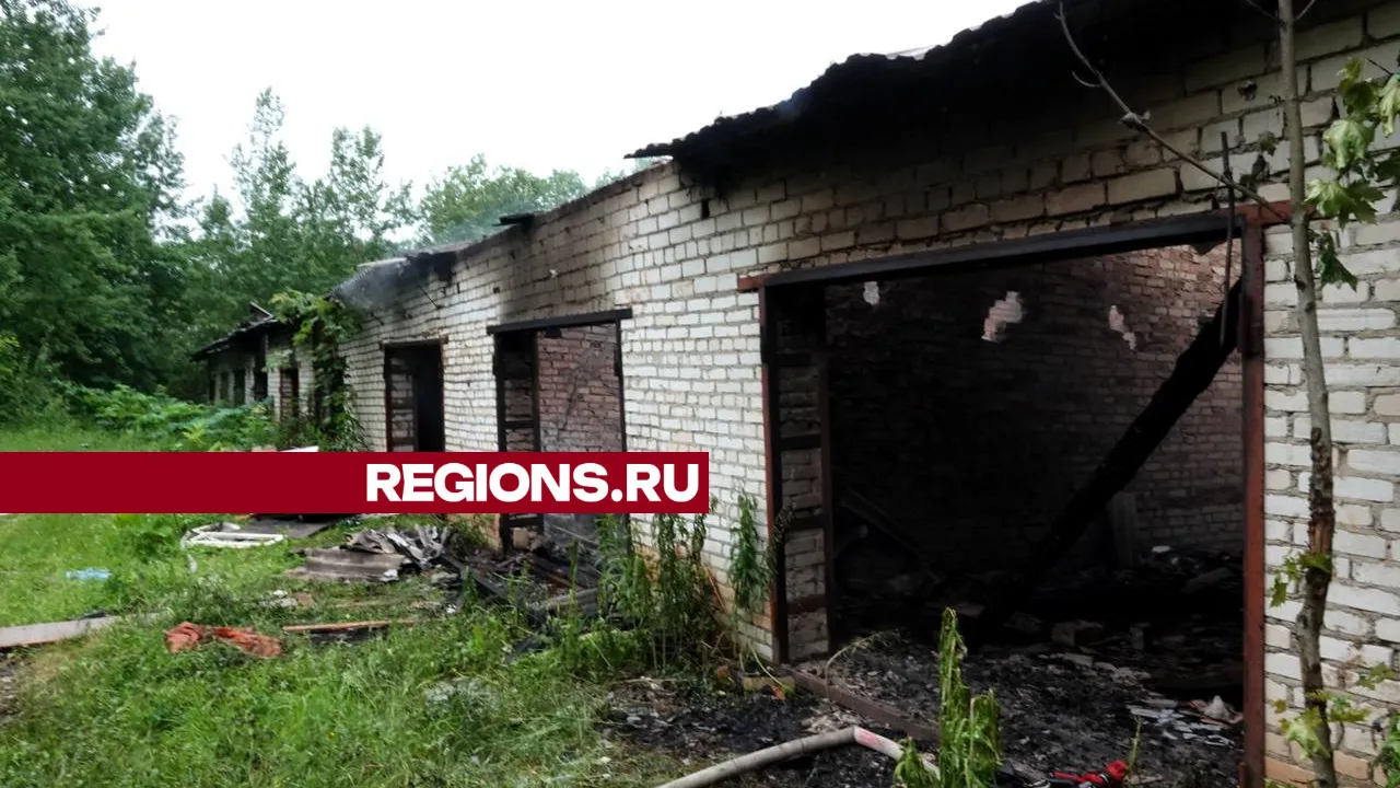 Фото: REGIONS/Дарья Леонова