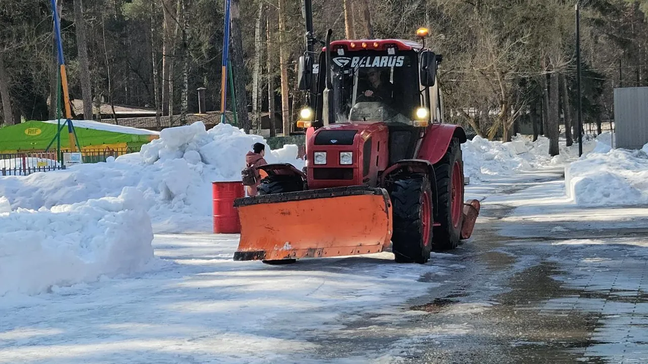 МедиаБанк Подмосковья/Ольга Вельшикаева