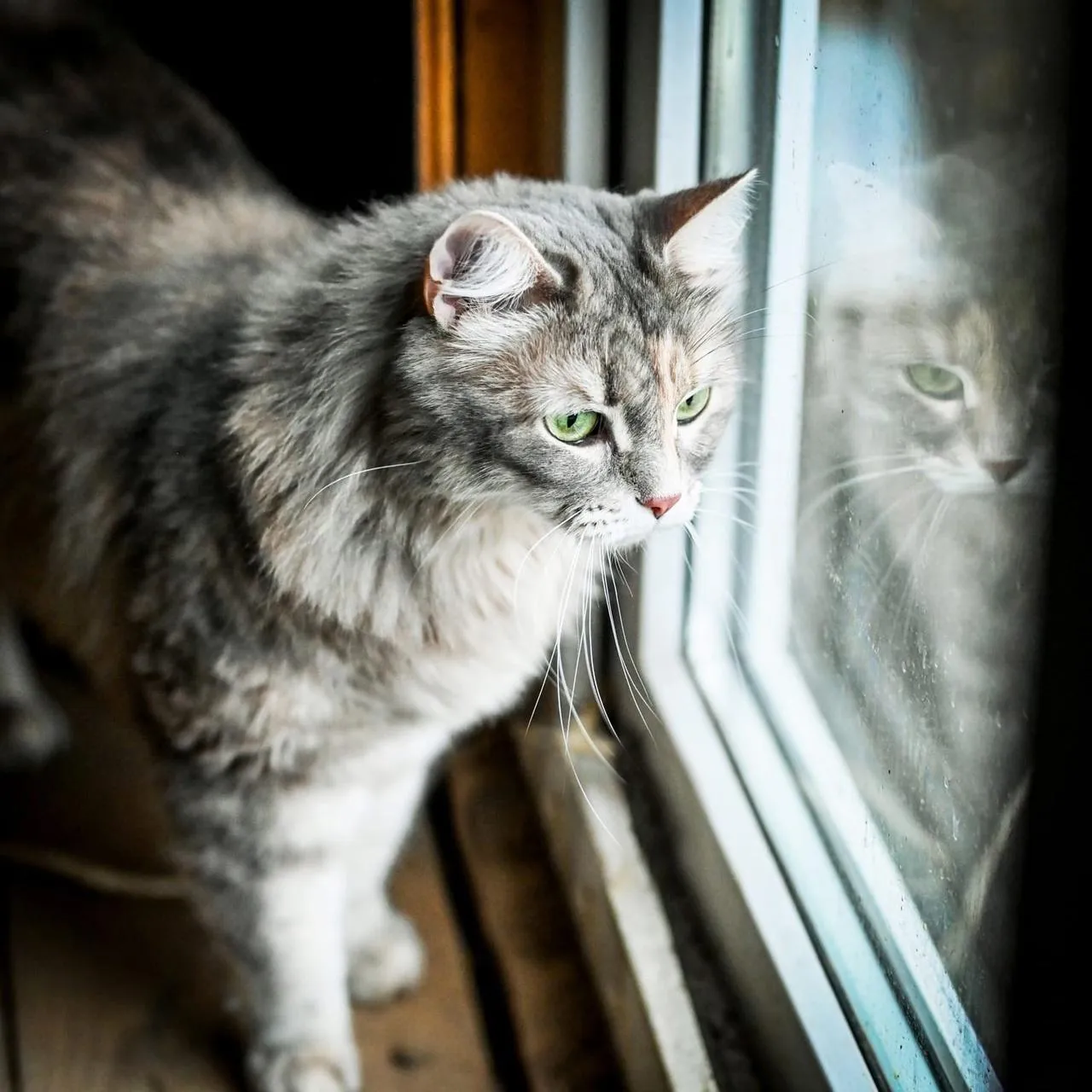 Фото: Истра | Искра! / ВКонтакте