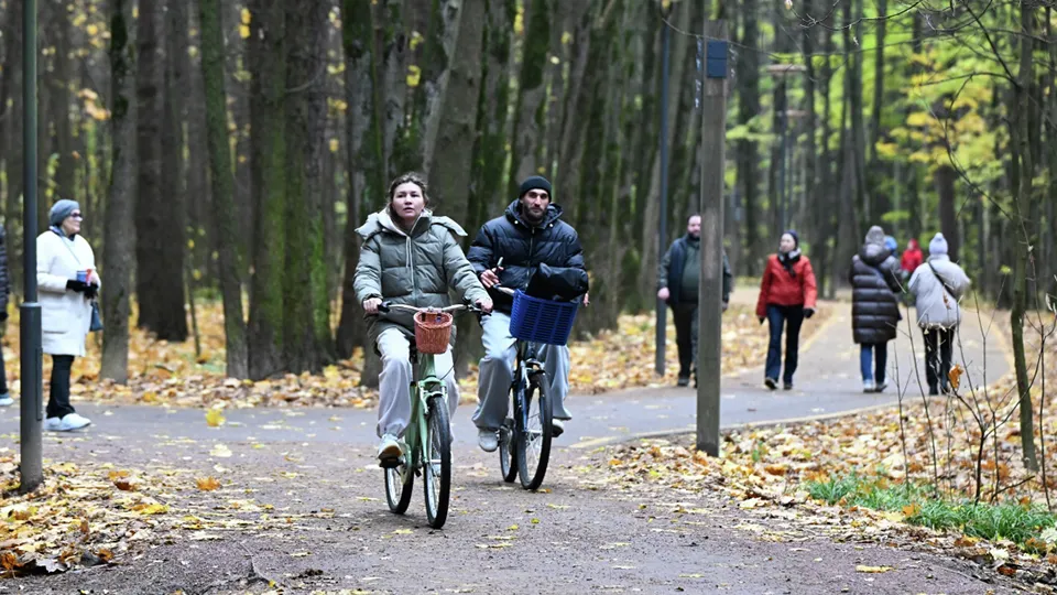 Фото: РИА Новости/Екатерина Чеснокова