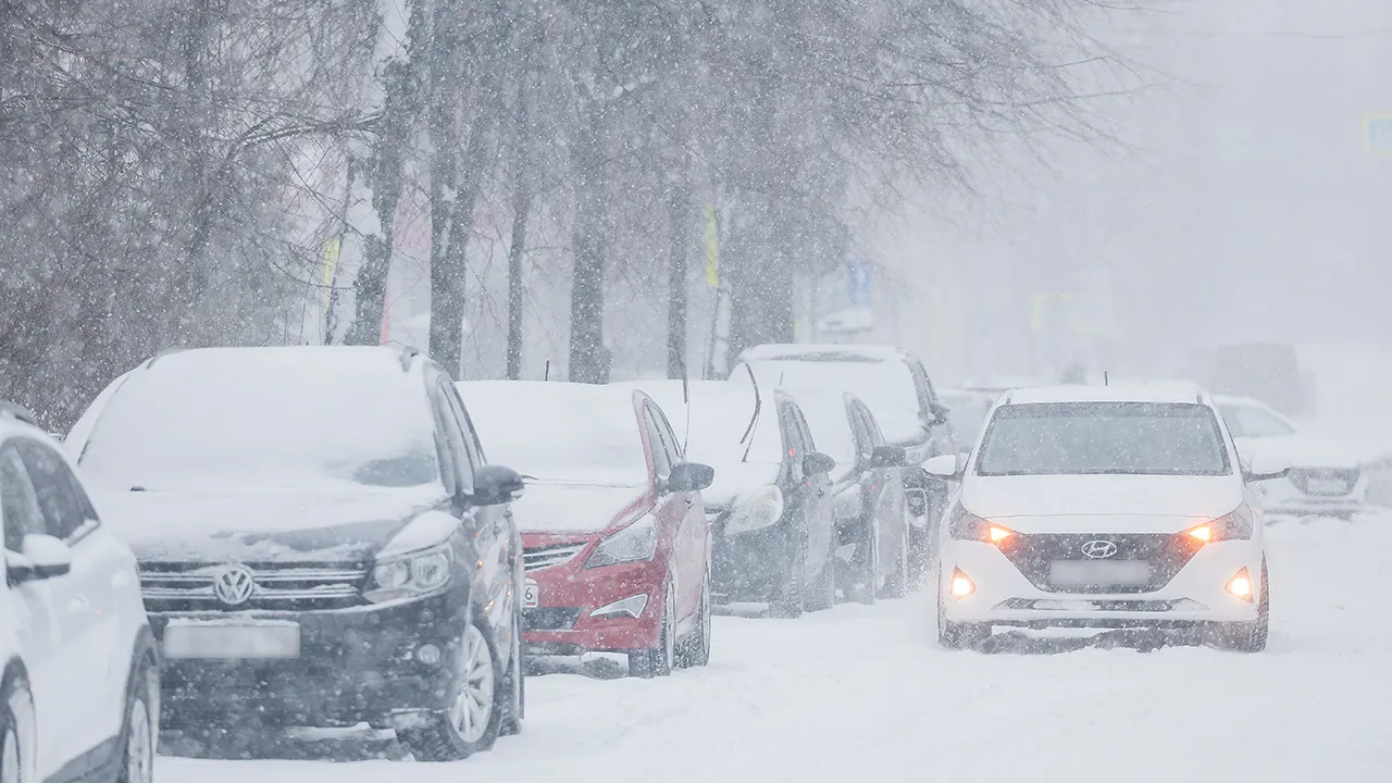 ТАСС/Егор Алеев