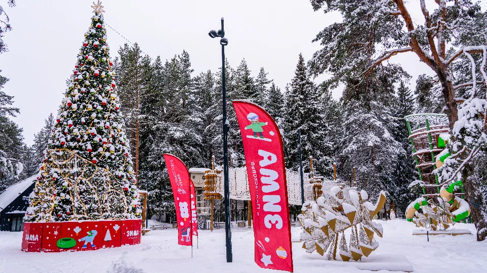 Фото: медиасток.рф