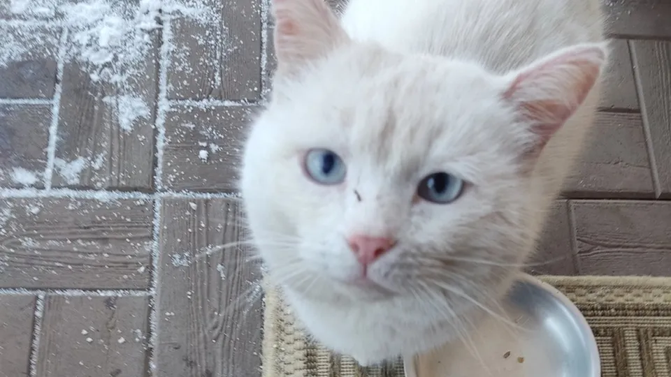 Фото: vk.com/Наталья Дудина