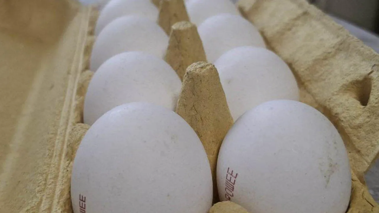 REGIONS/Юлия Габбасова