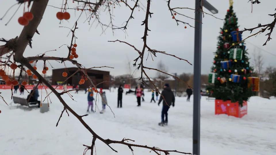 Фото: МедиаБанк Подмосковья/Ольга Сычева