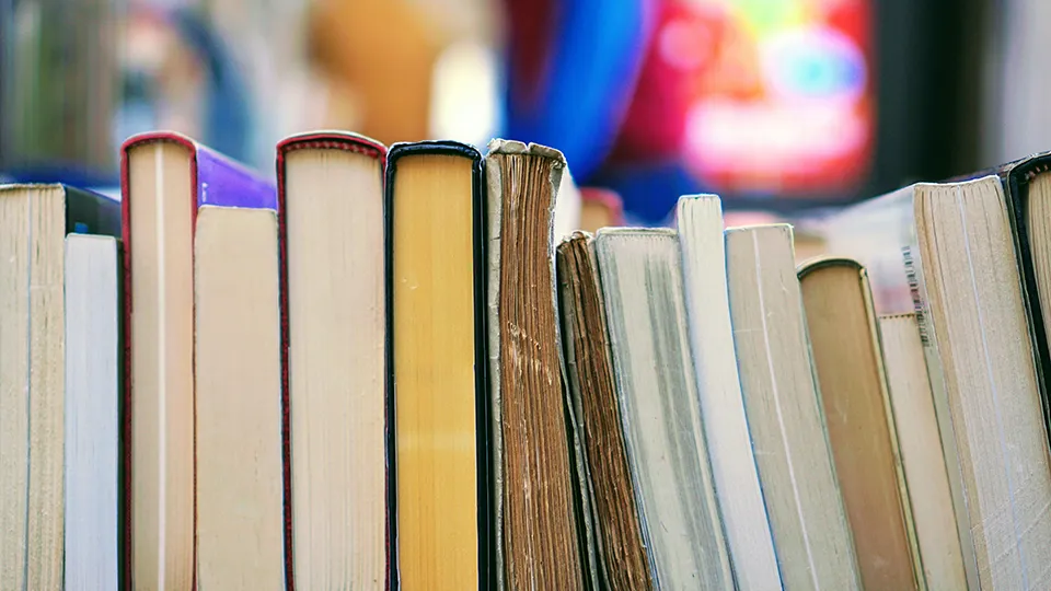 Фото: unsplash.com