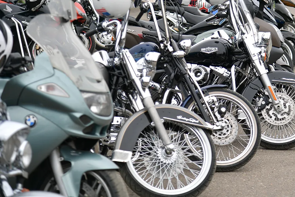 Фото: ИД «Подмосковье»/архив.