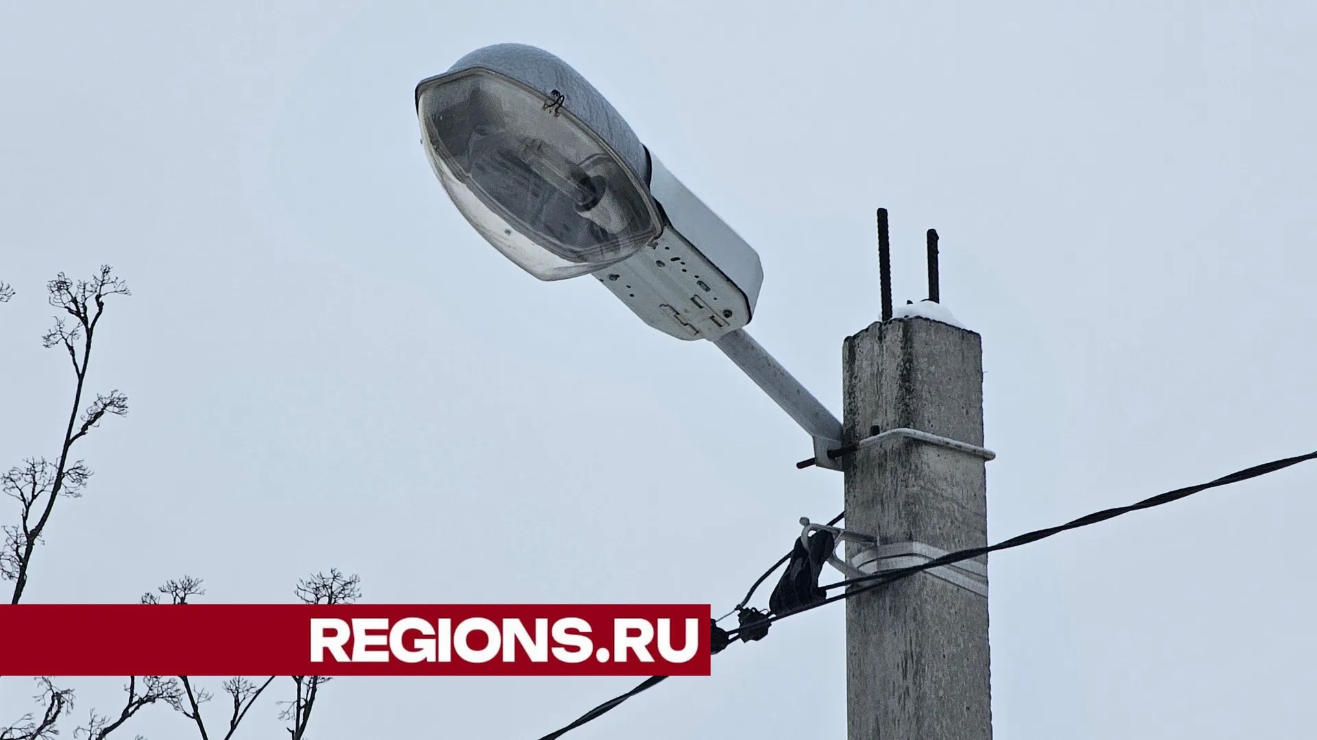 Фото Александра Дрожжина