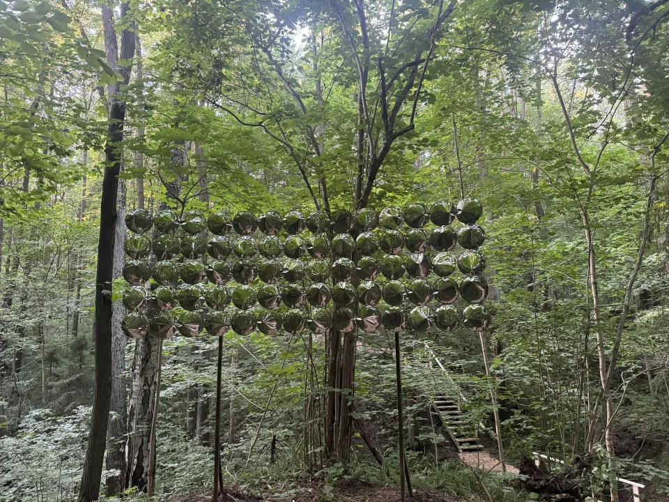 Фото: Полина Абраменко