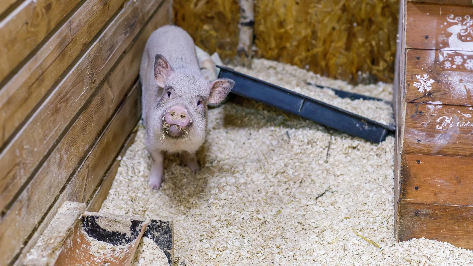 медиасток.рф