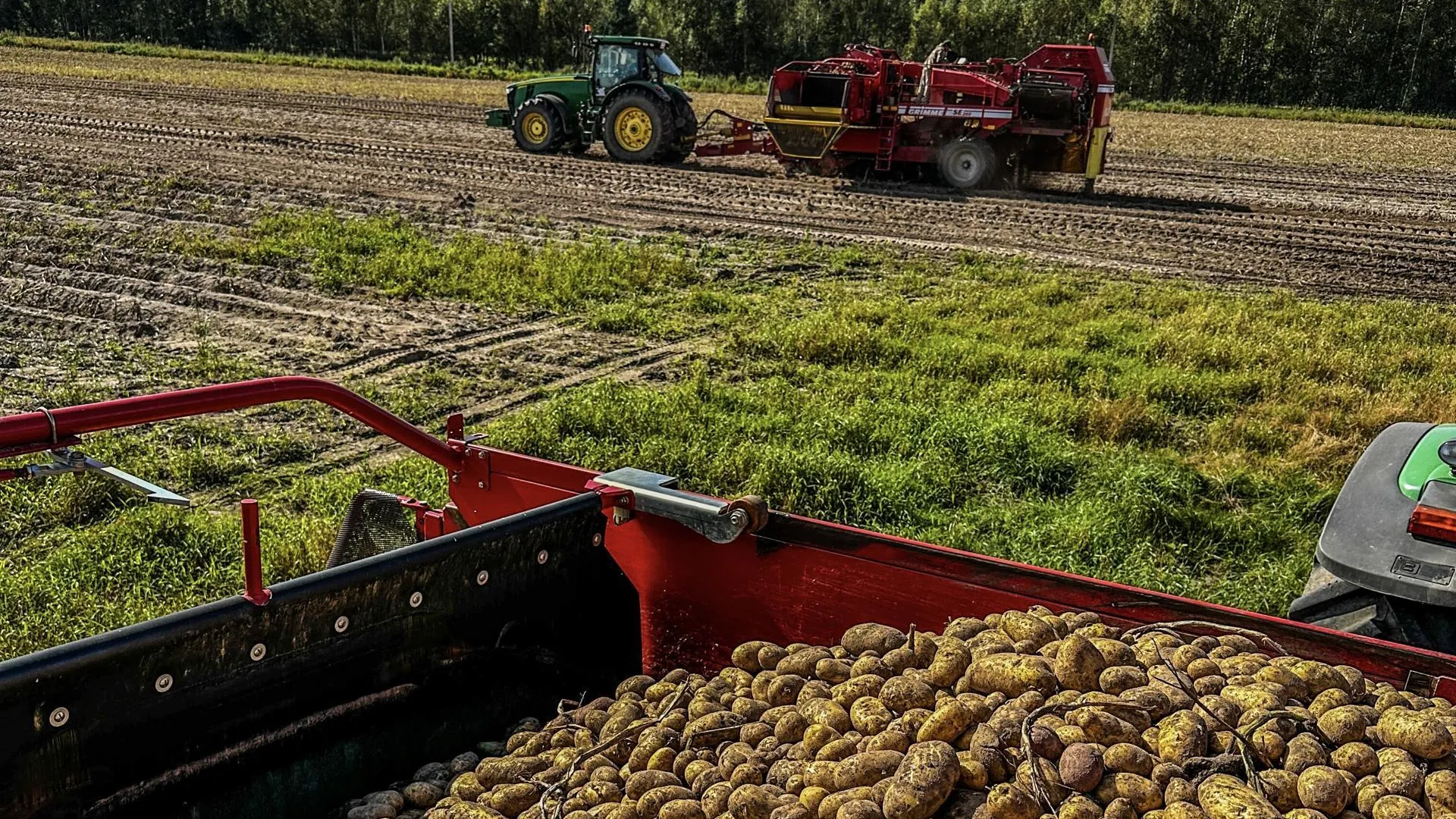 фото: Данила Кирьянов