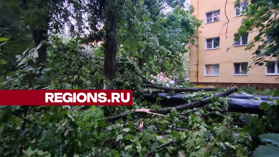 Фото: Екатерина Белякова