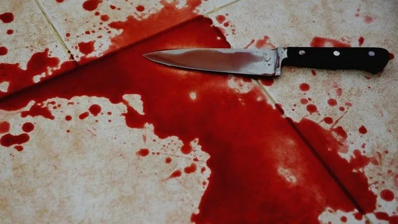 Пьяный житель Ногинска в ссоре зарезал родного отца