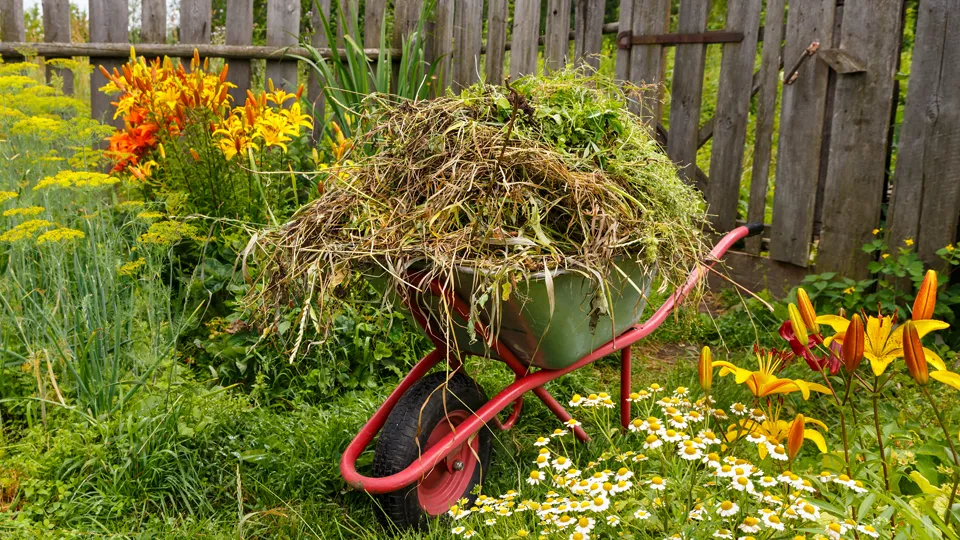 Фото: istockphoto.com