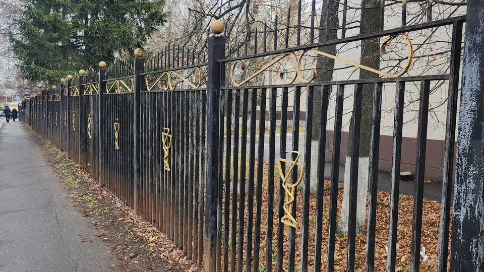 Фото: Ольга Антонова