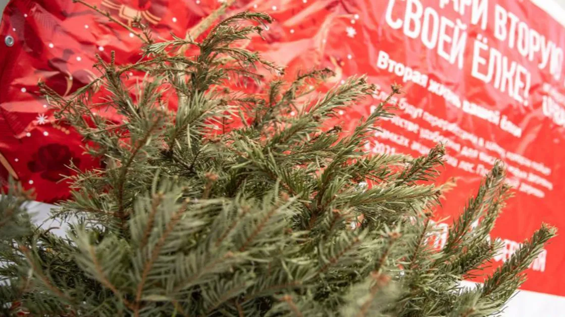 Фото: Министерство жилищно-коммунального хозяйства Московской области