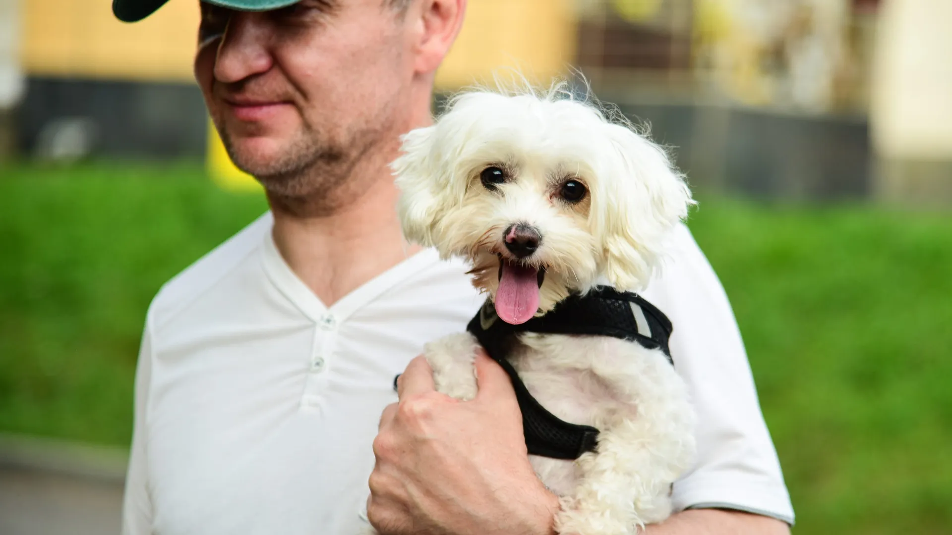 Фото: Министерство сельского хозяйства и продовольствия Московской области