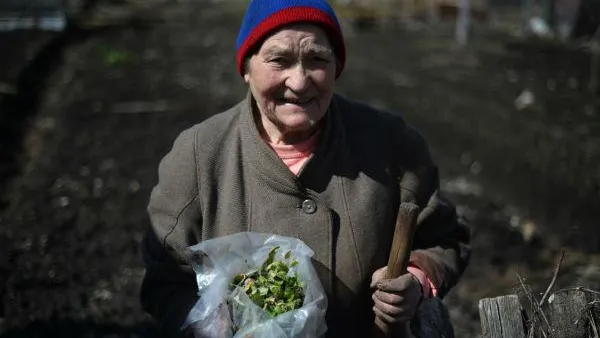 В регионе создан Союз дачников