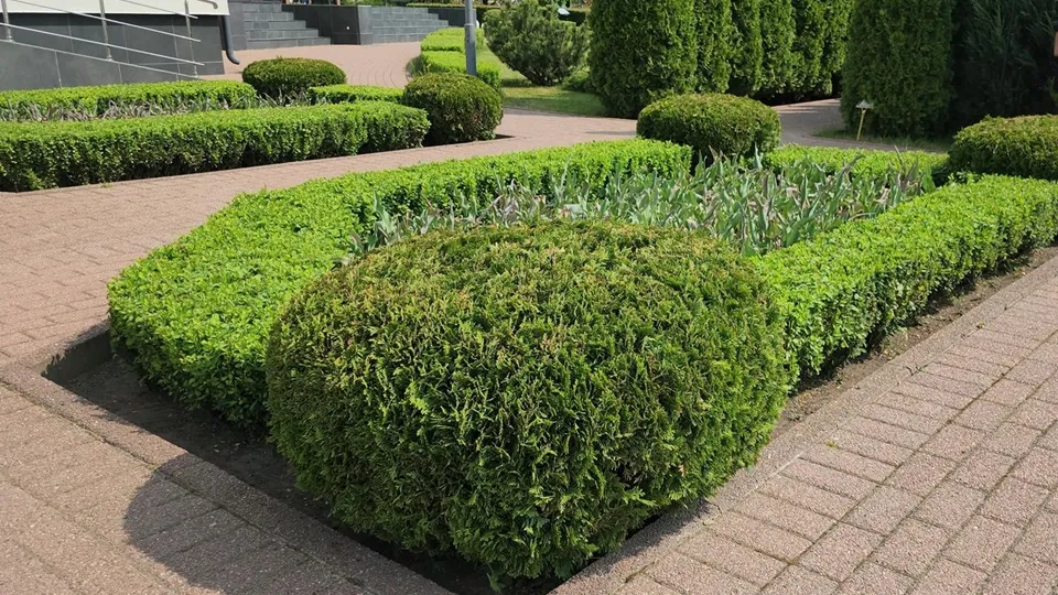 Фото: REGIONS/Александр Степушкин