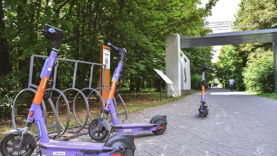 Фото: пресс-служба администрации г.о. Химки