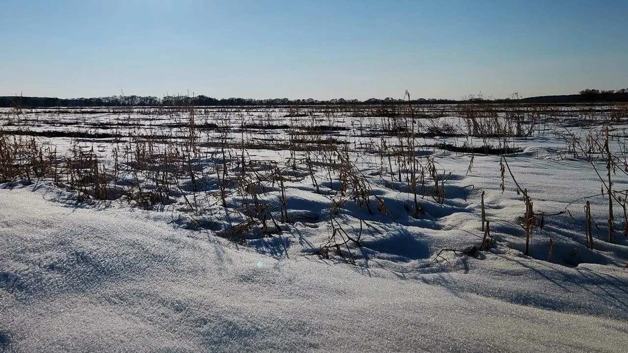 REGIONS/Алексей Селиверстов