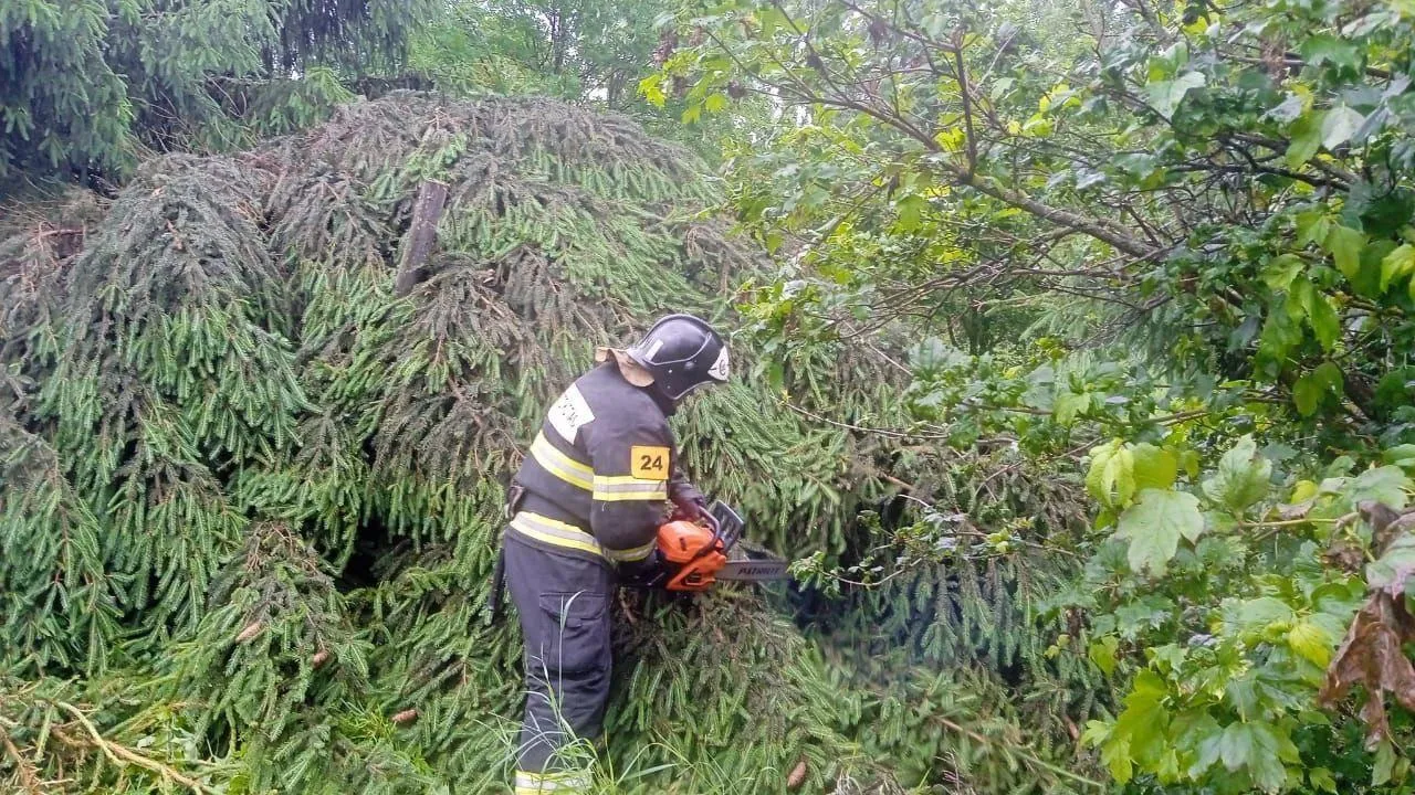 Фото: ГКУ МО «Мособлпожспас»
