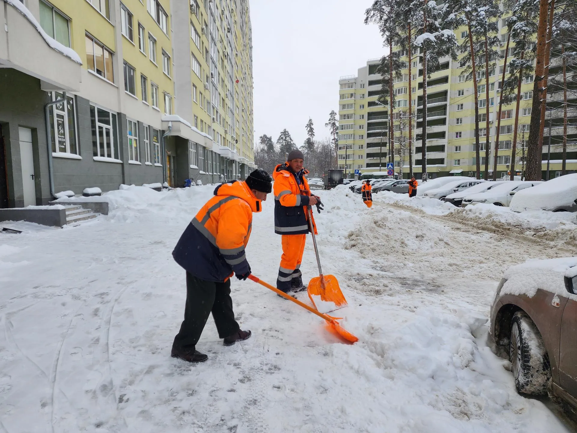 Фото: МедиаБанк Подмосковья/Ирина Моисеева