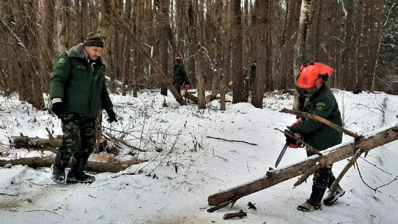Пресс-служба Комитет лесного хозяйства МО