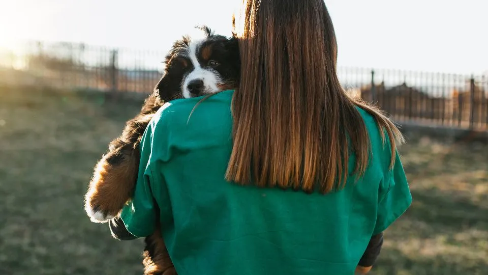 Фото: istockphoto.com