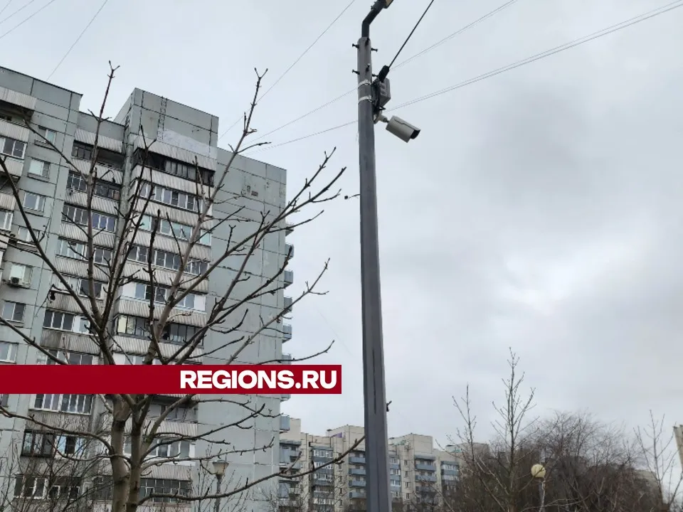 Фото: Максим Сафронов