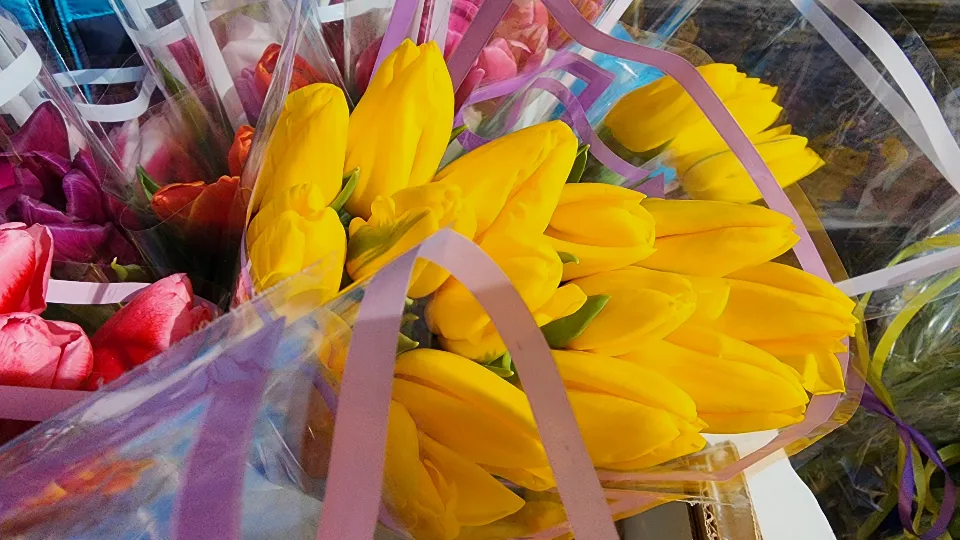 Фото: МедиаБанк Подмосковья/Юлия Скавронова