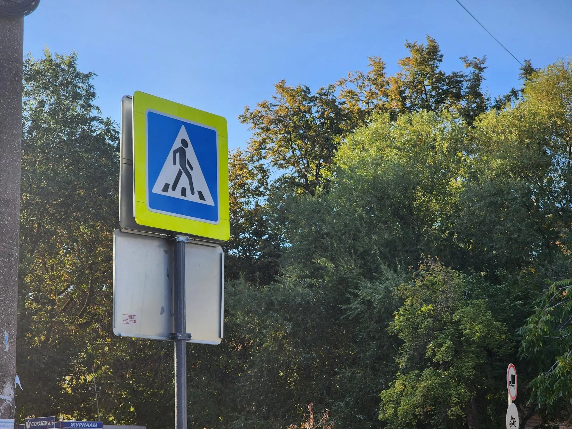 Источник: Алена Притула