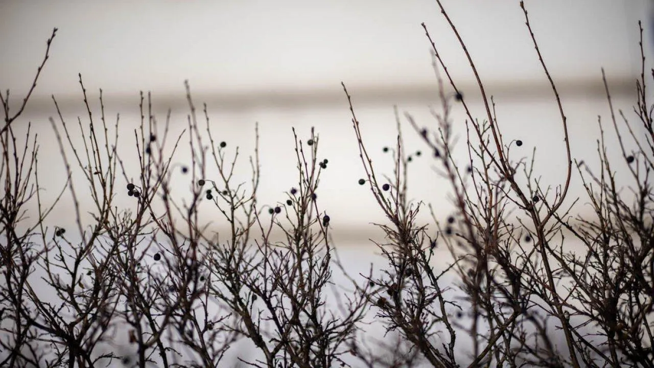 REGIONS/Владимир Ерастов