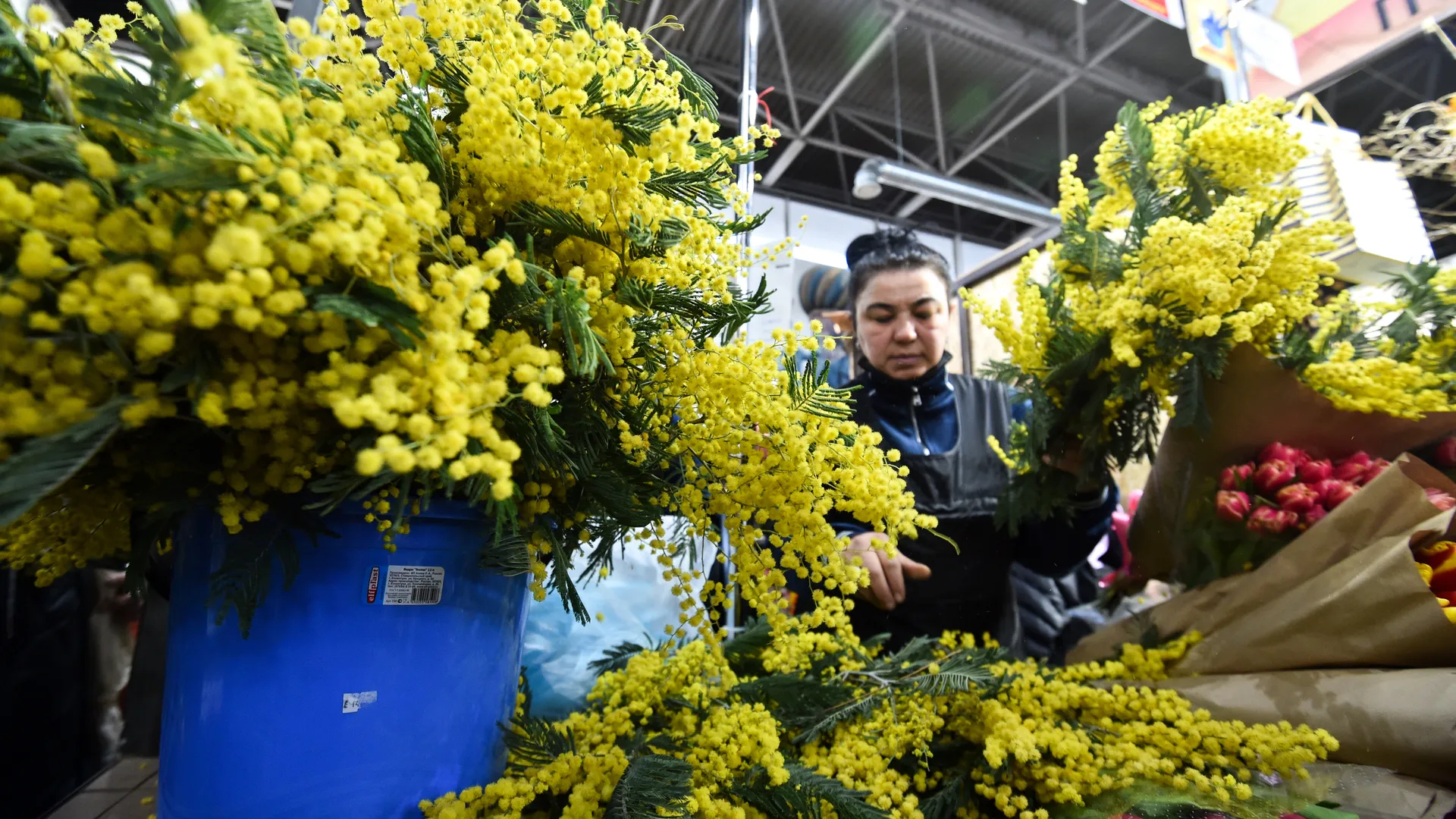 медиасток.рф