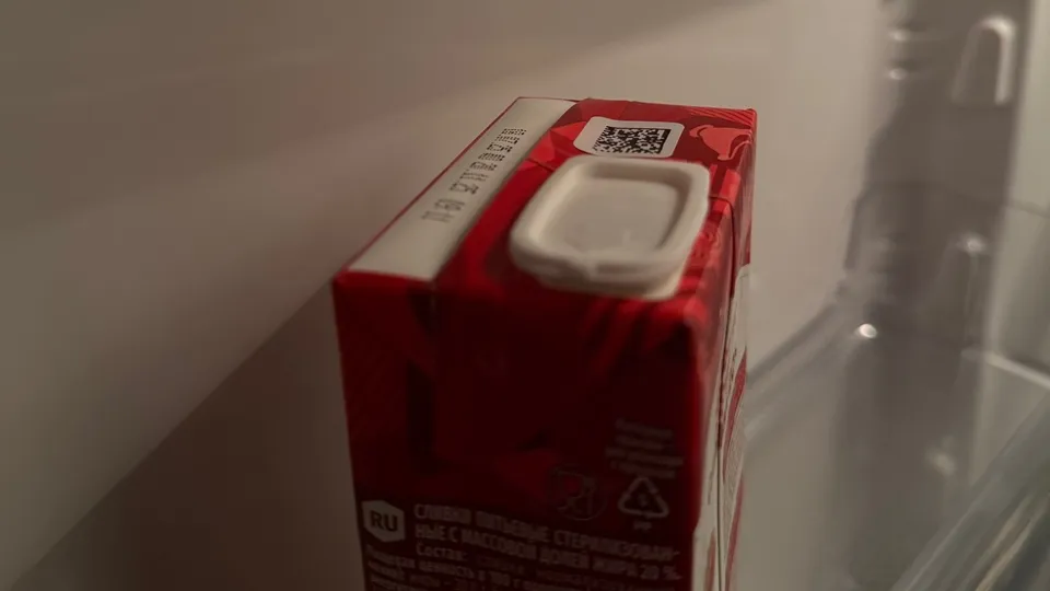 Фото: REGIONS/Валерия Ковешникова