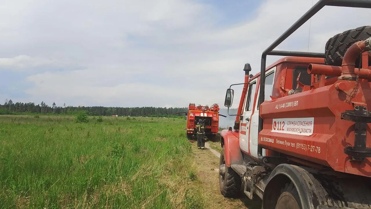 Фото: Комитет лесного хозяйства Московской области