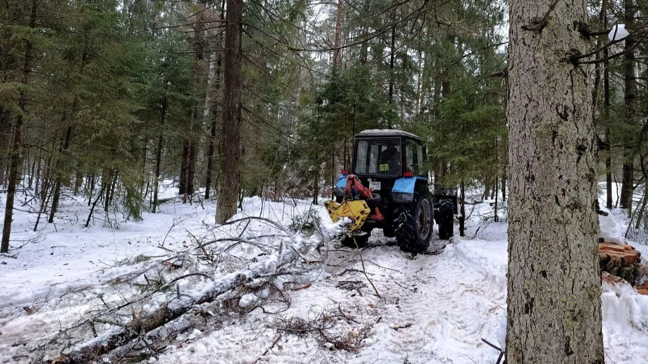 ГАУ МО «Мособллес»