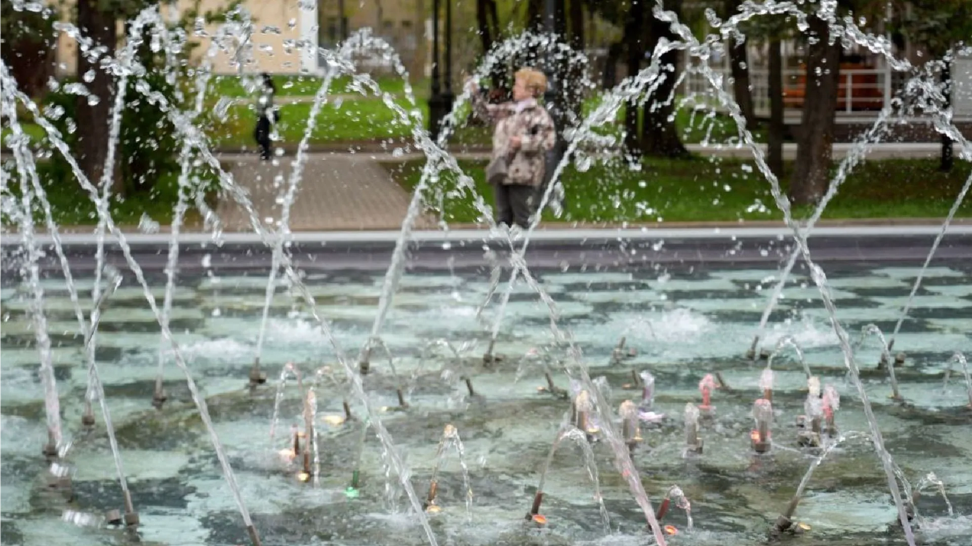 Фото: МедиаБанк Подмосковья/Дмитрий Зайчиков