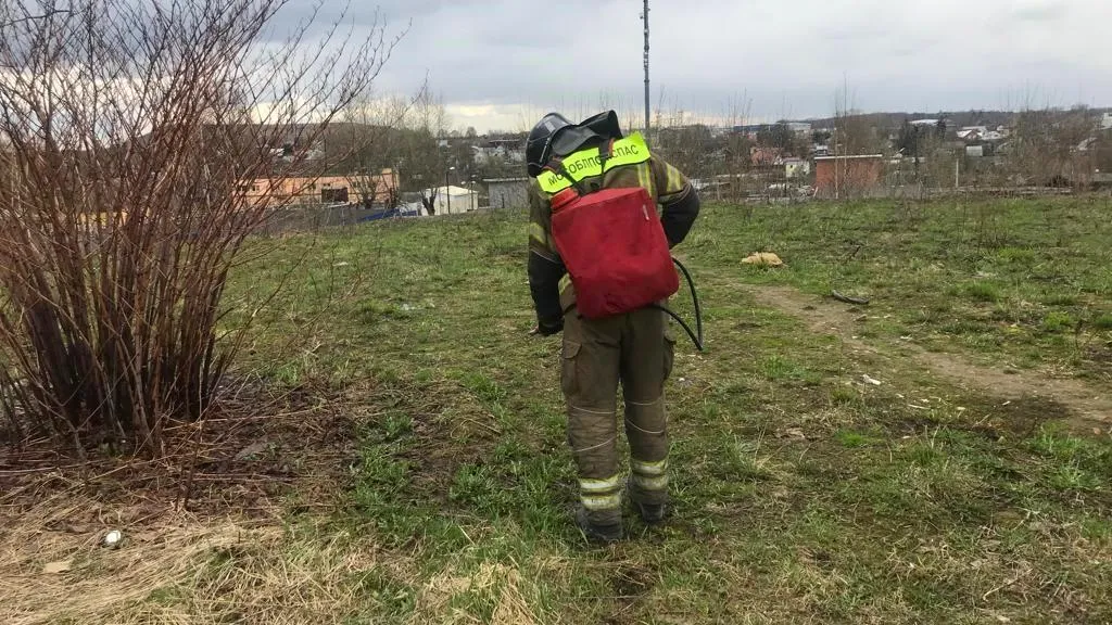 Фото: ГКУ МО «Мособлпожспас»