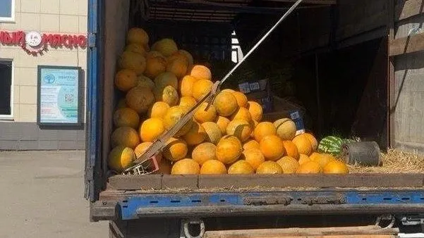 Незаконную торговлю бахчевыми пресекли в Подмосковье