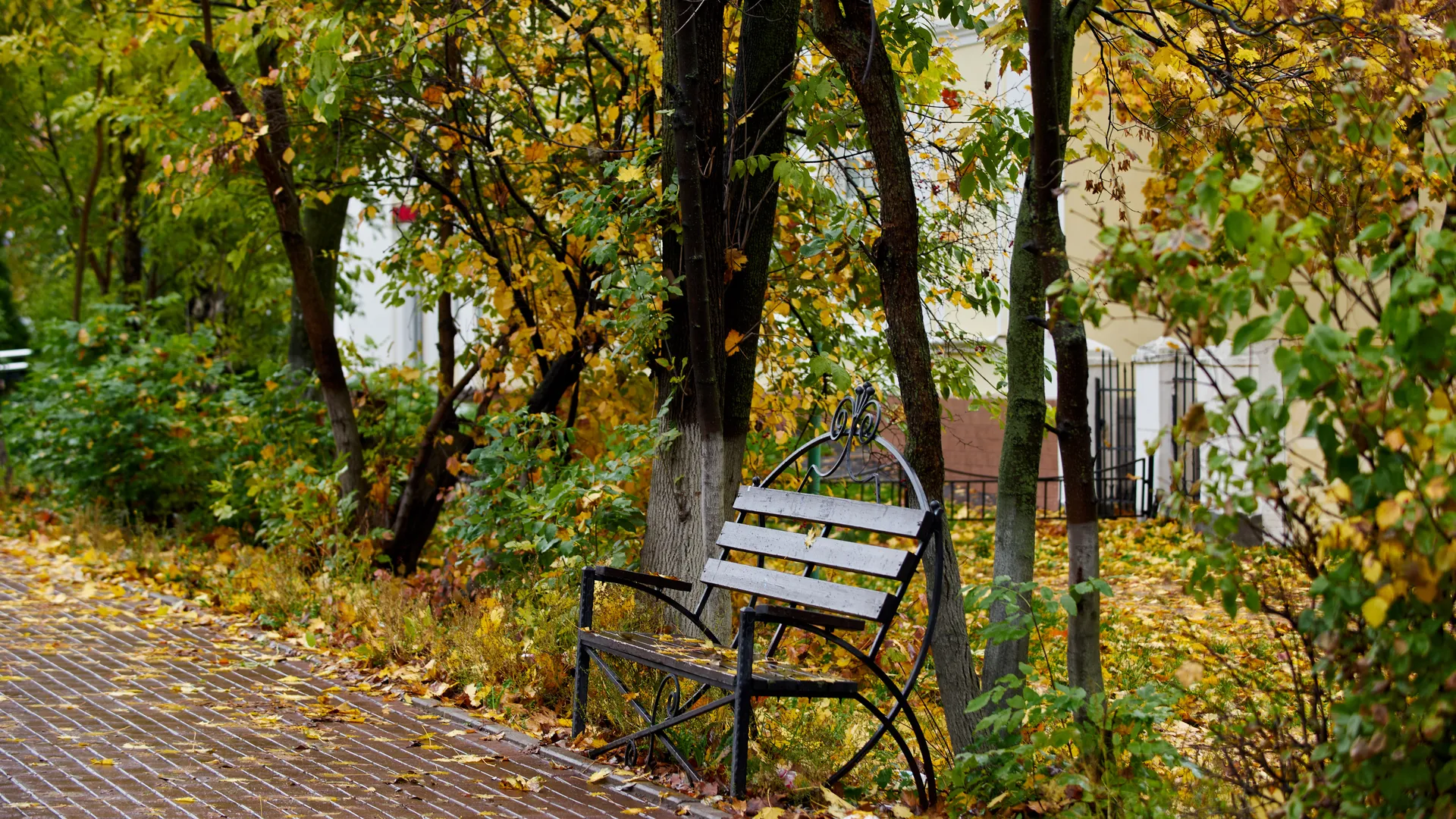 Осень в Подмосковье