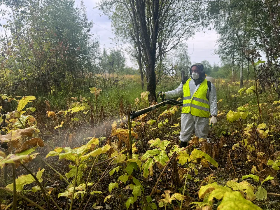 Фото: МедиаБанк Подмосковья/Полина Абраменко