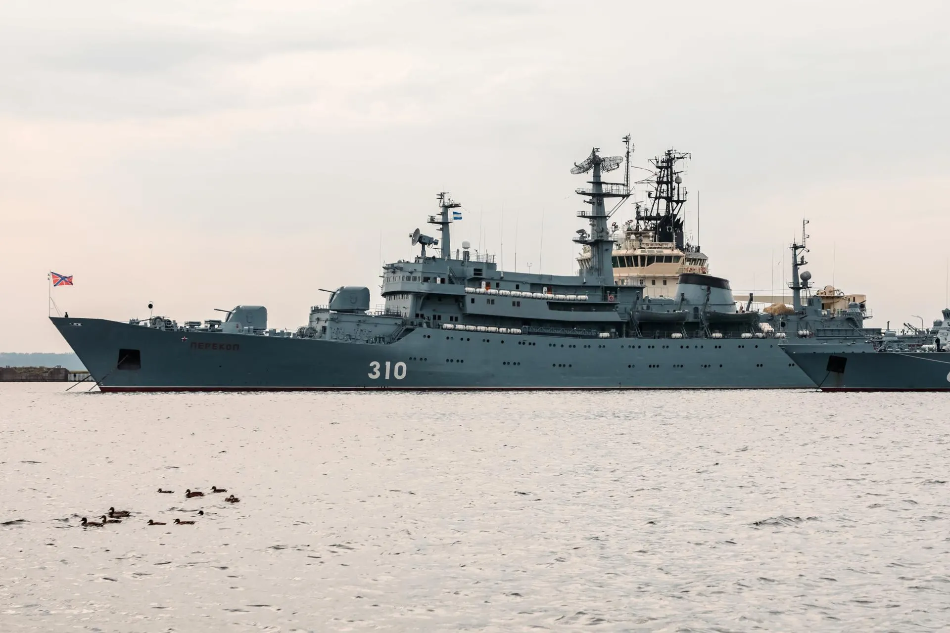 Roman Naumov/URA.RU