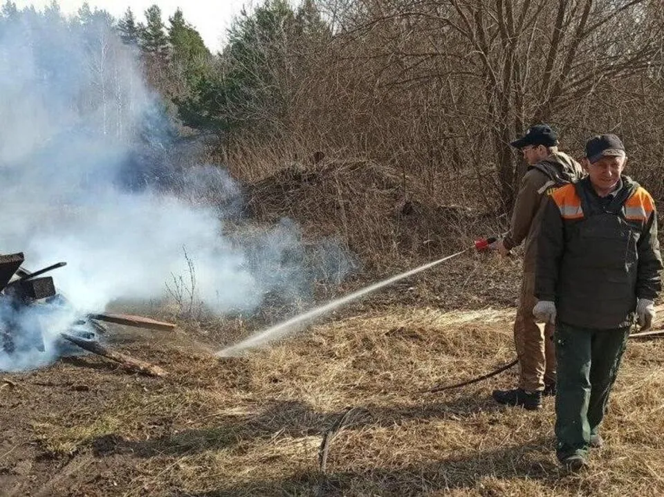 Фото: Комитет лесного хозяйства Московской области