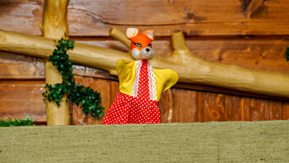 Фото: медиасток.рф