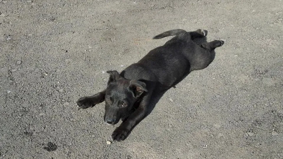 Фото: REGIONS/Юлия Габбасова